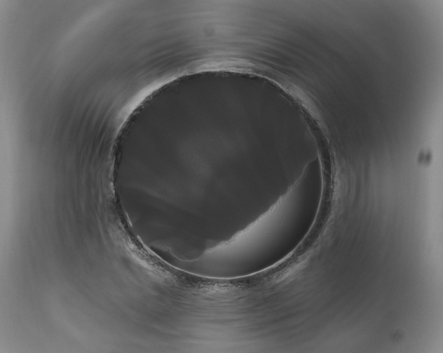 X0000111020830200906191650