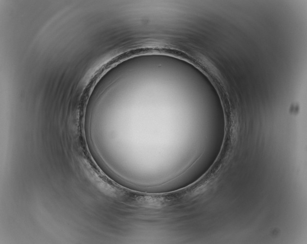 X0000111020831200906191650
