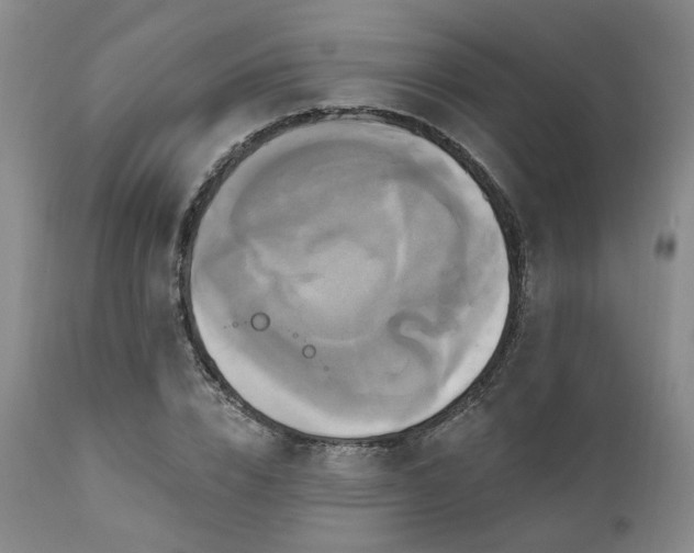 X0000111020832200906191650