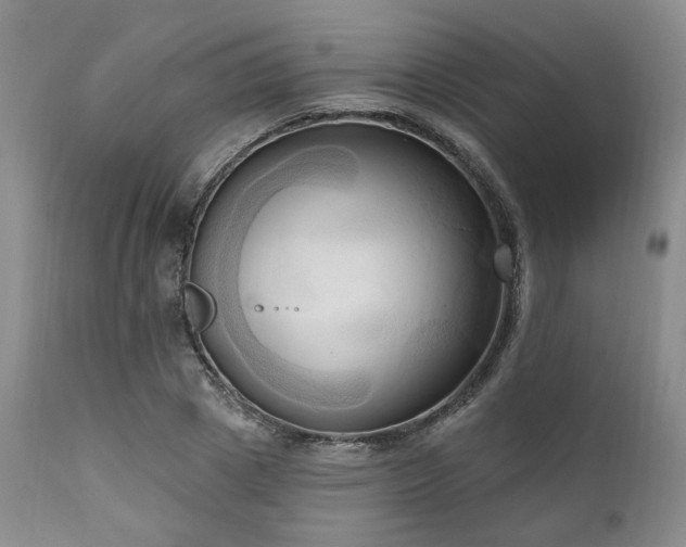 X0000111020833200906191650