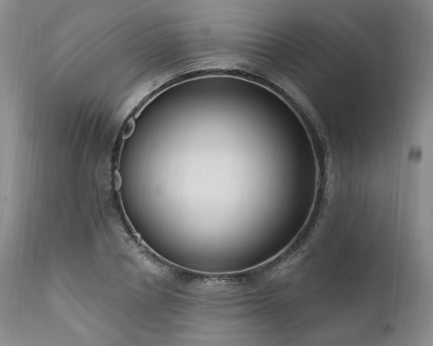 X0000111020834200906191650