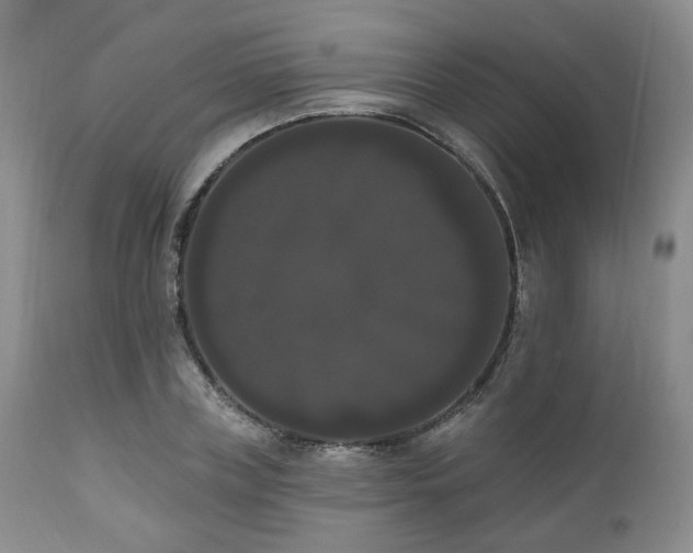 X0000111020835200906191650