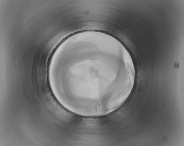 X0000111020836200906191650