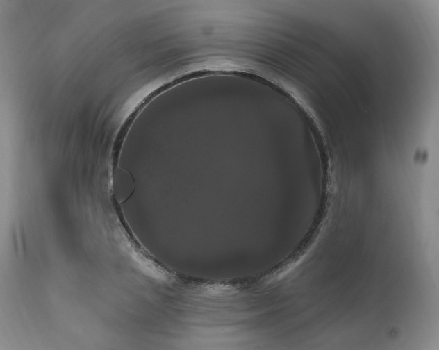 X0000111020837200906191650