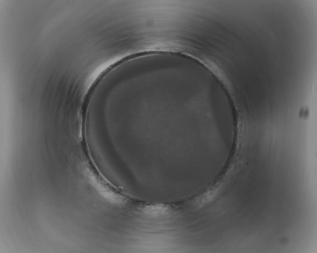 X0000111020838200906191650