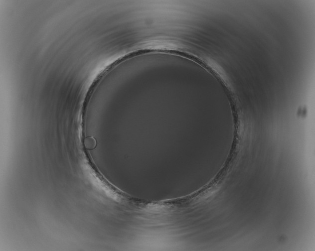 X0000111020840200906191650