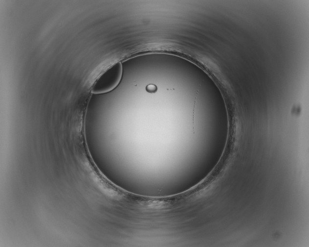 X0000111020841200906191650