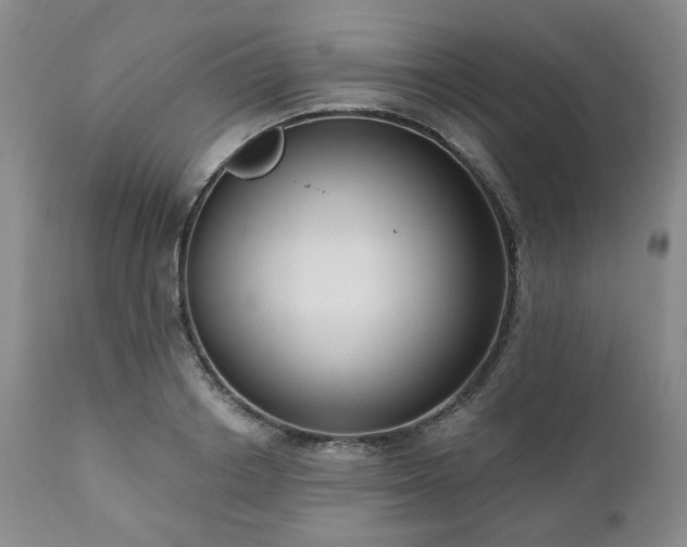 X0000111020842200906191650