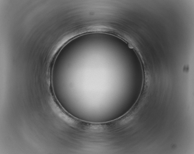 X0000111020843200906191650