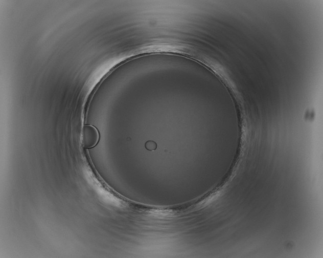 X0000111020844200906191650