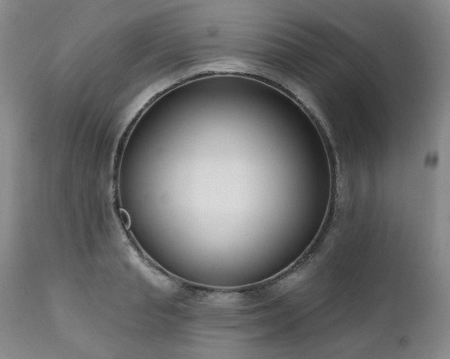 X0000111020845200906191650