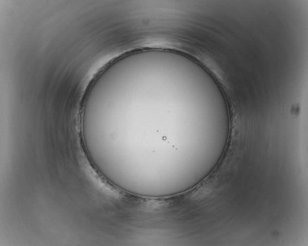 X0000111020848200906191650