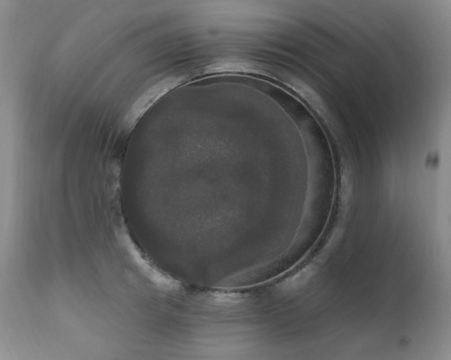 X0000111020849200906191650