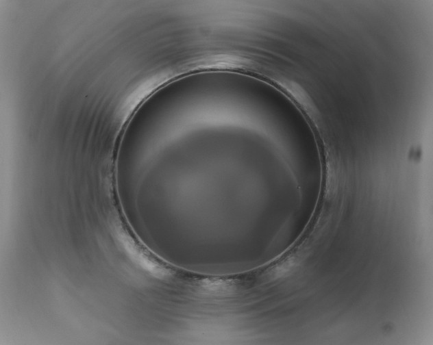 X0000111020850200906191650