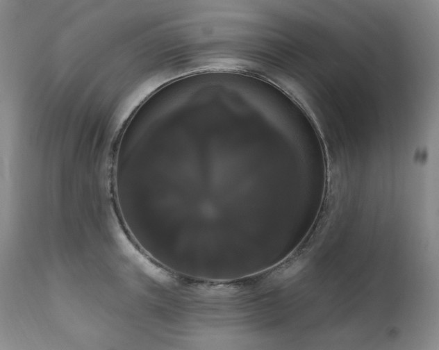 X0000111020851200906191650