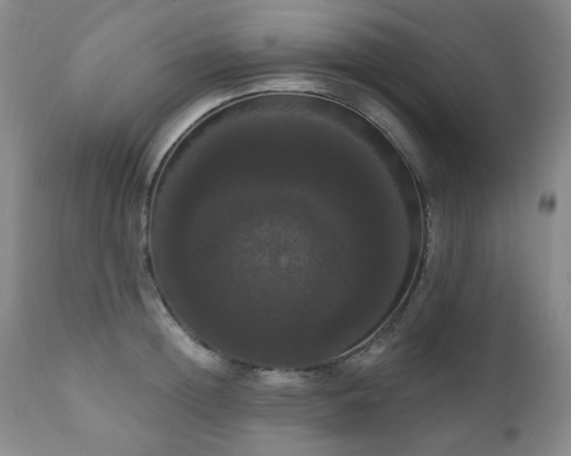 X0000111020852200906191650