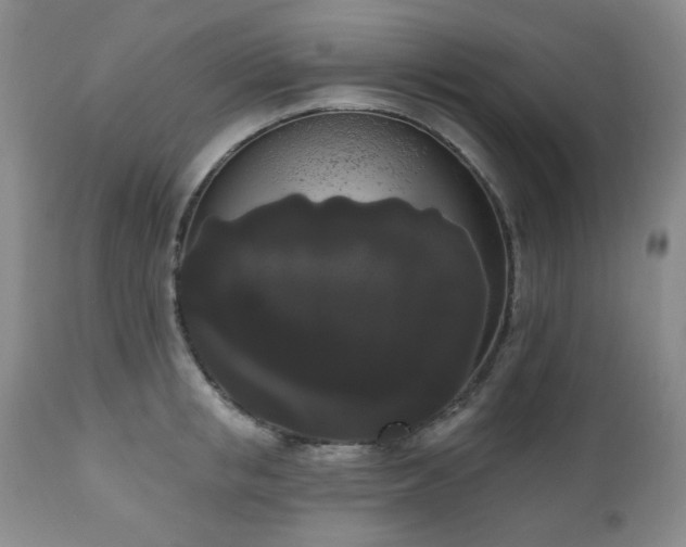 X0000111020853200906191650