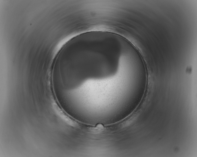 X0000111020854200906191650