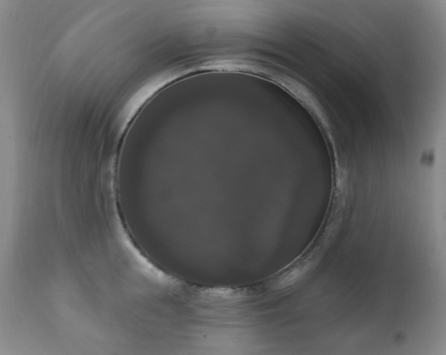 X0000111020855200906191650