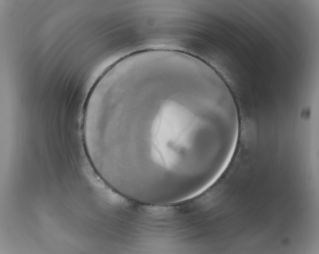 X0000111020856200906191650