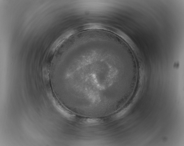 X0000111020857200906191650