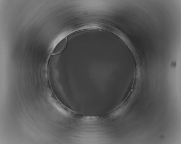 X0000111020858200906191651
