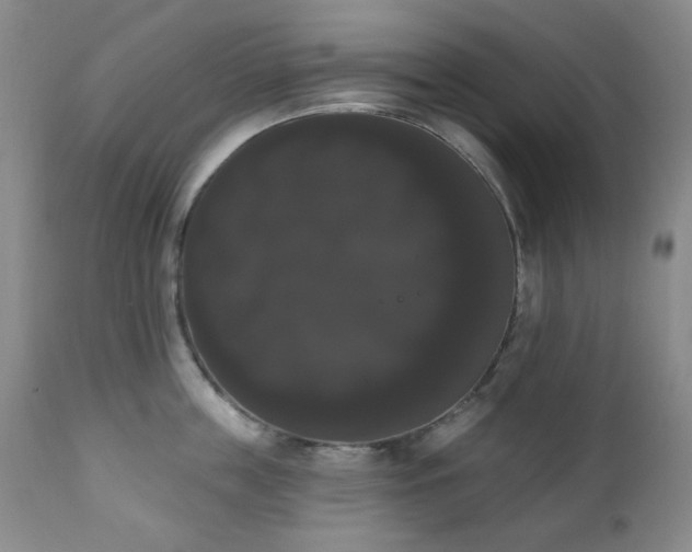X0000111020859200906191651
