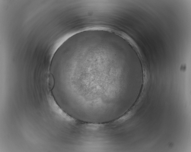 X0000111020860200906191651