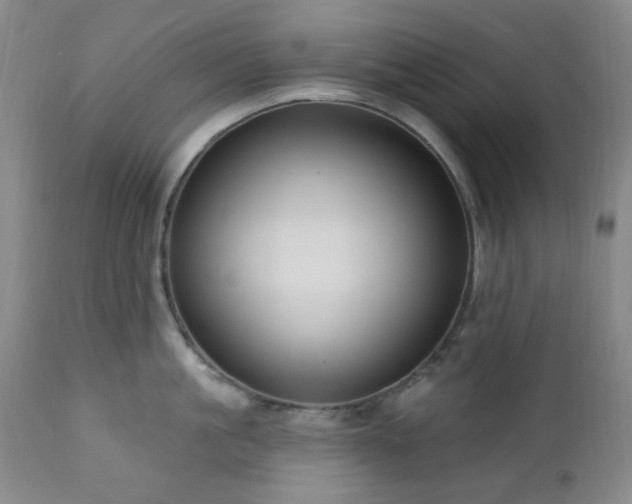 X0000111020861200906191651