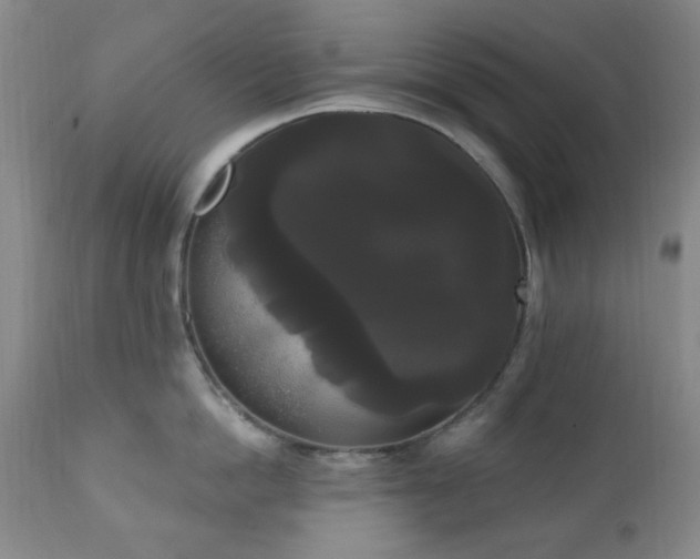 X0000111020862200906191651