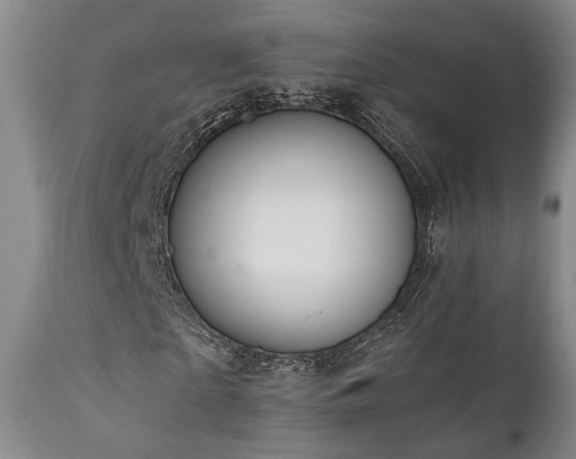 X0000111020865200906191650