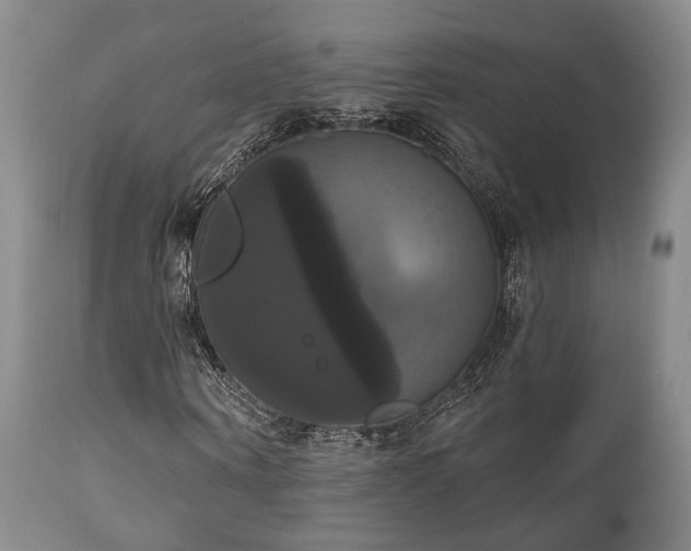 X0000111020866200906191650