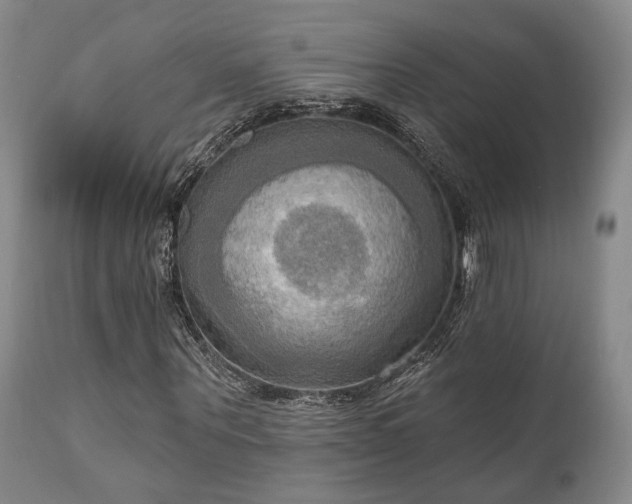 X0000111020867200906191650