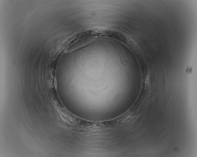 X0000111020868200906191650
