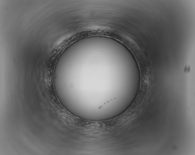 X0000111020869200906191650