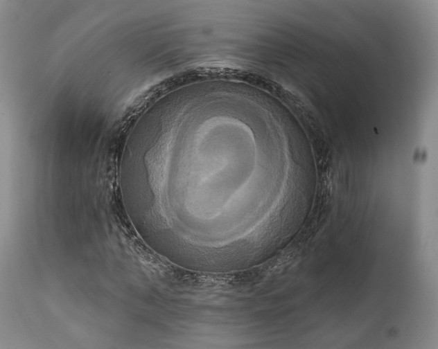 X0000111020870200906191650