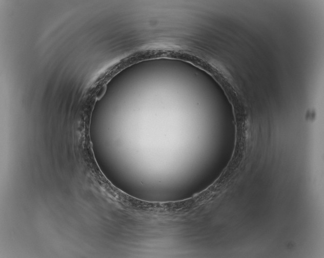 X0000111020872200906191650