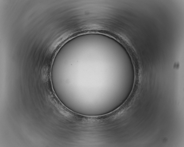 X0000111020873200906191650