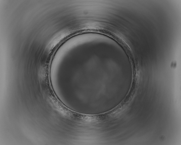 X0000111020874200906191650