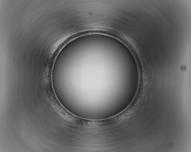 X0000111020875200906191650
