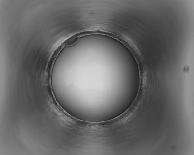 X0000111020876200906191650