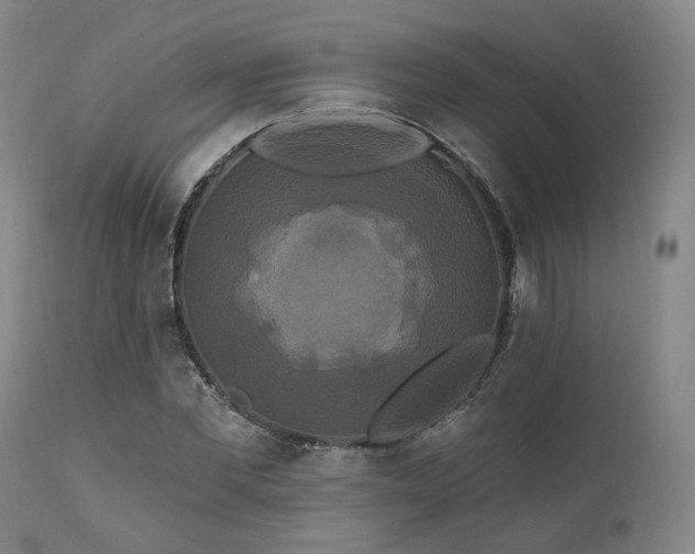 X0000111020877200906191650