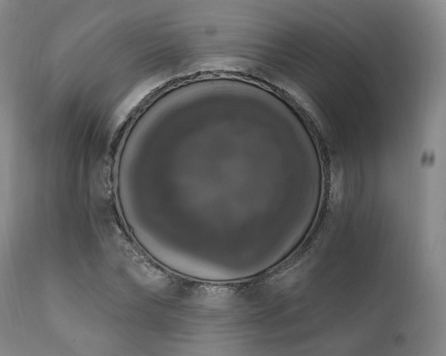 X0000111020878200906191650