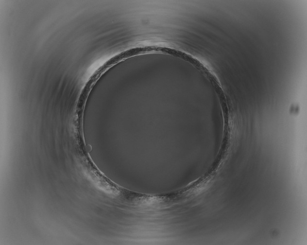 X0000111020879200906191650