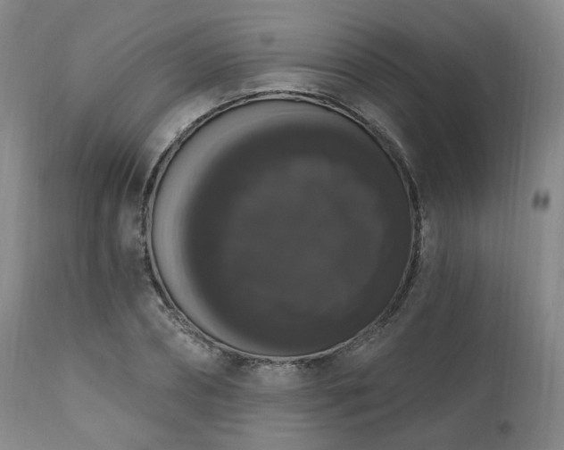 X0000111020882200906191650