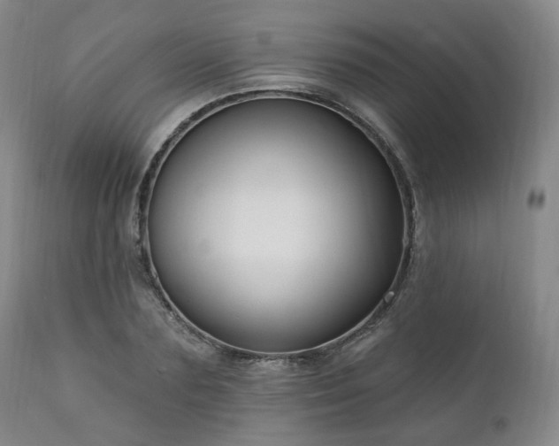 X0000111020883200906191650