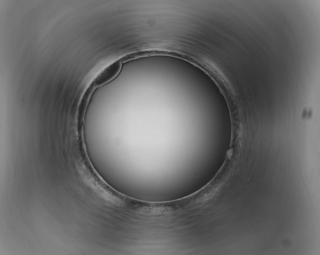 X0000111020884200906191650