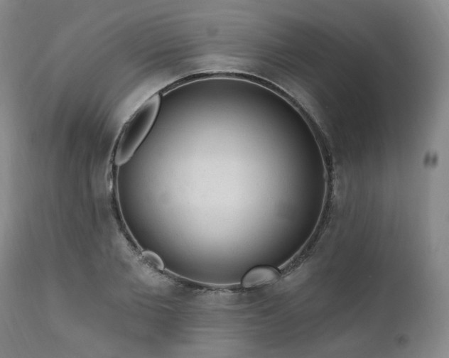 X0000111020885200906191650
