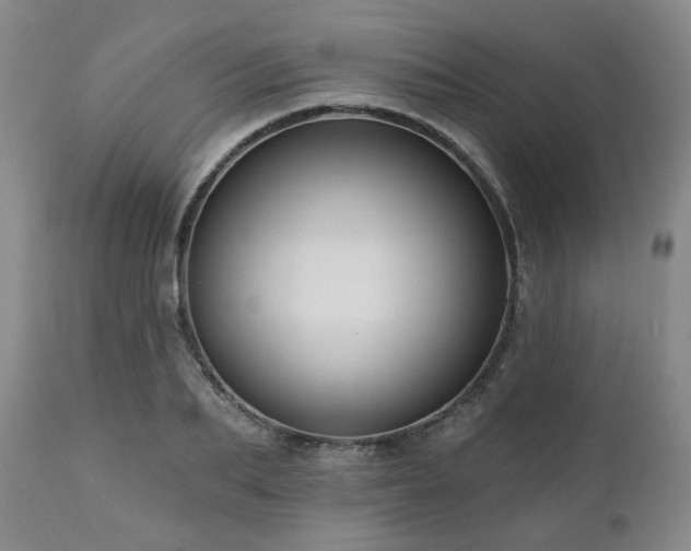 X0000111020887200906191650