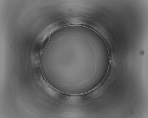 X0000111020889200906191650